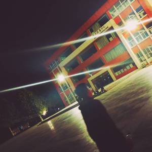 国内自拍真实伦在线观看视频
