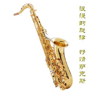 国内自拍真实伦在线观看视频
